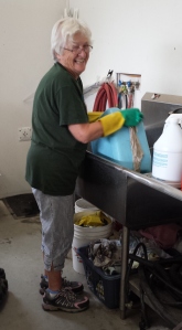 Dorothy does a lot of the cleaning of products that come into the ReStore.